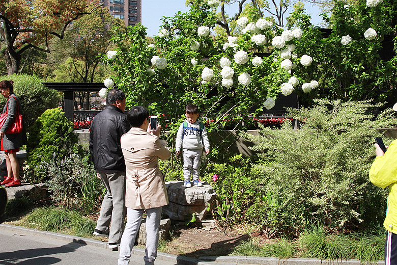 Шанхай, Хункоу, Парк Лу Синя (Shanghai, Hongkou, Lu Xun Park)