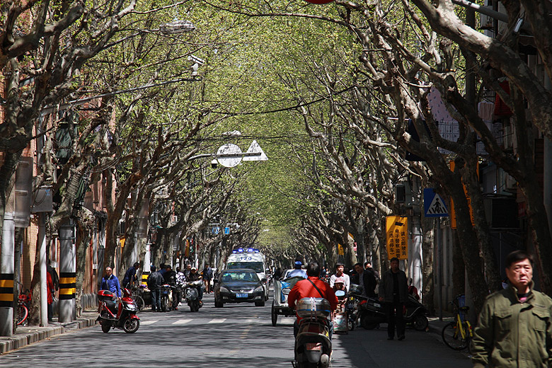 Фото. Shanyin Road