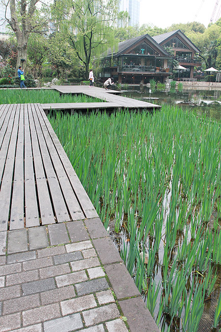 Шанхай, экскурсия Храм Цзинань, Парк Цзинань (Shanghai, Jing'an Temple Area, Jing'an Park)