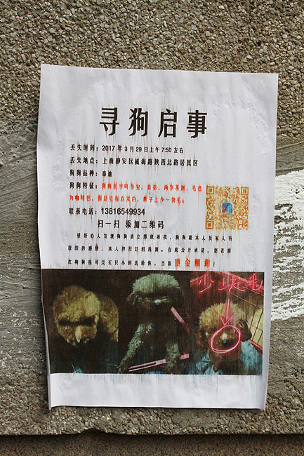 Шанхай, экскурсия Храм Цзинань, Квартал Чжан Юань (Shanghai, Jing'an Temple Area, Zhang Yuan)