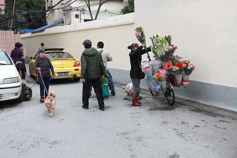 Шанхай, экскурсия Храм Цзинань, Улицы рядом с Домом Девида Тога (Shanghai, Jing'an Temple Area, near the Home of David Toeg)