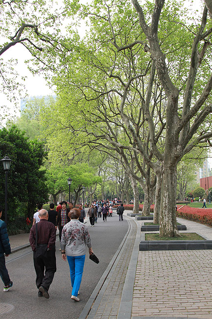 Шанхай, экскурсия Храм Цзинань, Парк Чжуншань (Shanghai, Jing'an Temple Area, Zhongshan Park)