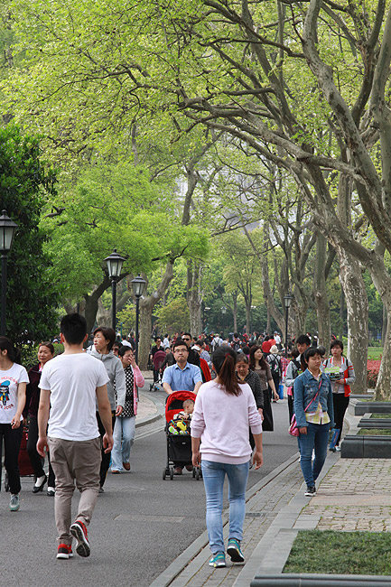 Шанхай, экскурсия Храм Цзинань, Парк Чжуншань (Shanghai, Jing'an Temple Area, Zhongshan Park)