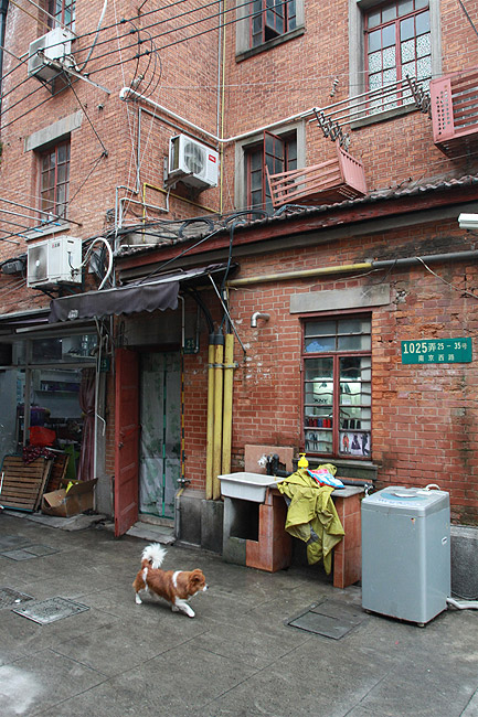 Шанхай, экскурсия Храм Цзинань, Вилла Цзиньань (Shanghai, Jing'an Temple Area, Jing’an Villa)
