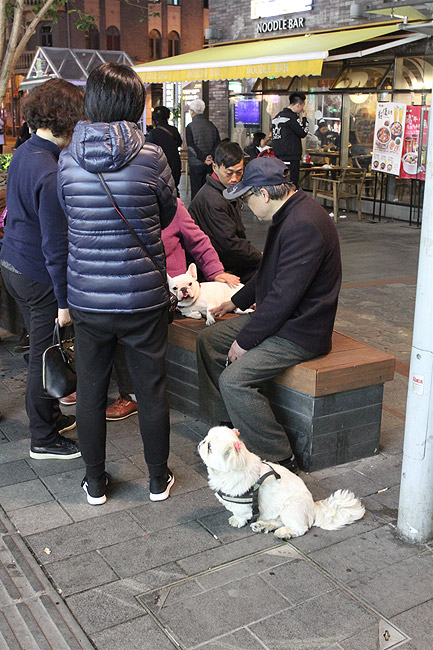 Шанхай, экскурсия Храм Цзинань, Улица ресторанов Уцзян (Shanghai, Jing'an Temple Area, Wujiang Road Snack Street)