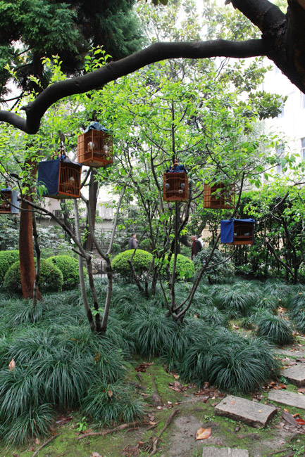 Шанхай, экскурсия Храм Цзинань, Парк Сикан (Shanghai, Jing'an Temple Area, Xikang Park)