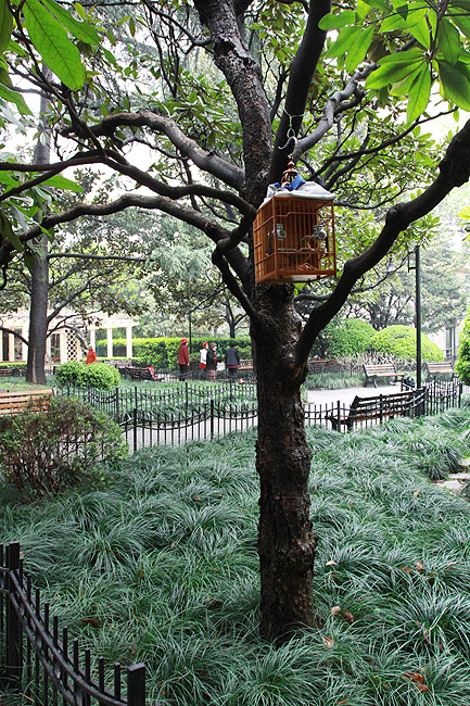 Шанхай, экскурсия Храм Цзинань, Парк Сикан (Shanghai, Jing'an Temple Area, Xikang Park)