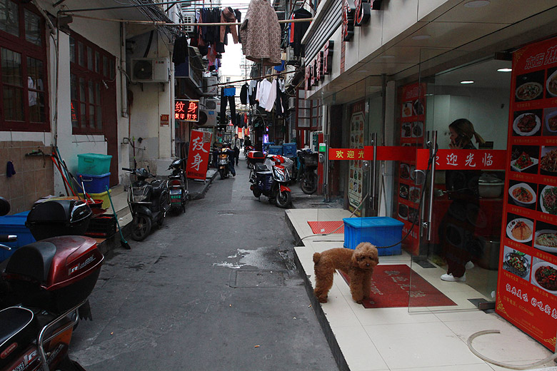 Шанхай, экскурсия Улица Наньцзин, Wufu Nong Food Street (Shanghai, Wufu Nong Food Street)