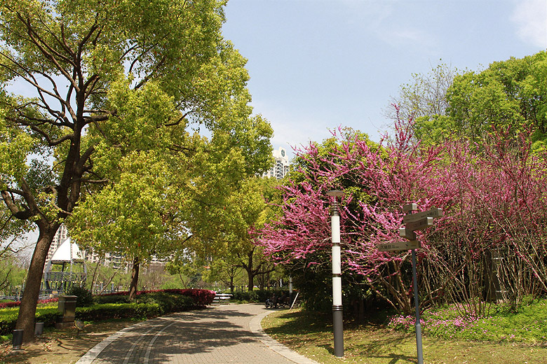 Шанхай, экскурсия Храм Нефритового Будды, Сад Мэнцин (Shanghai, Mengqing Garden)