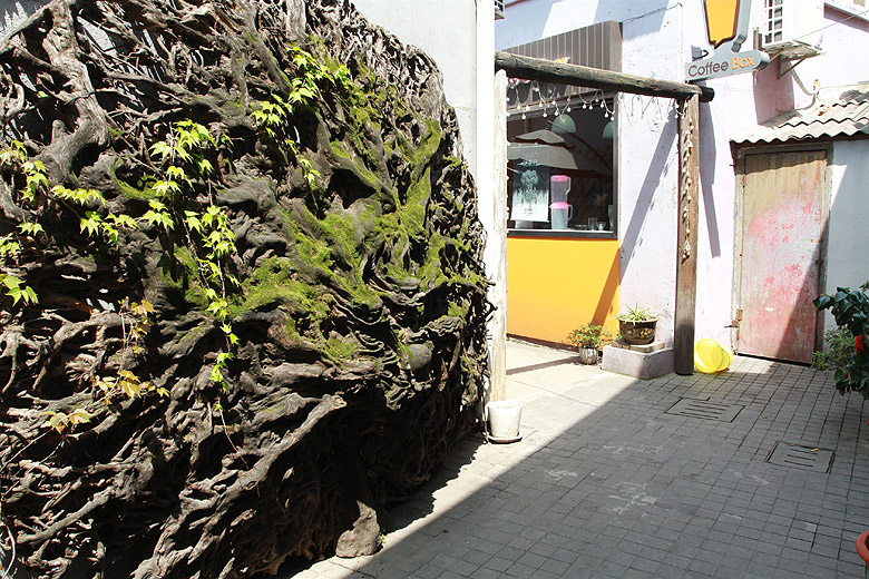 Шанхай, экскурсия Храм Нефритового Будды, M50 Moganshan Road Art Space (Shanghai, M50 Moganshan Road Art Space)