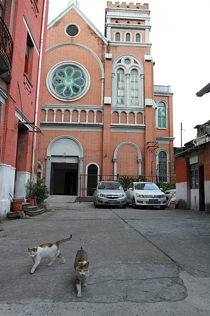 Шанхай, экскурсия Храм Нефритового Будды, Церковь Святой Терезы (Shanghai, Saint Teresa Church)