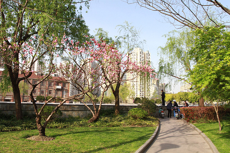 Шанхай, экскурсия Храм Нефритового Будды, Парк Цзюцзы (Shanghai, Jiuzi Park)