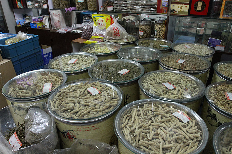 Шанхай, экскурсия Храм Нефритового Будды, Рынок Секс-игрушек (Shanghai, Sex Toys Market)