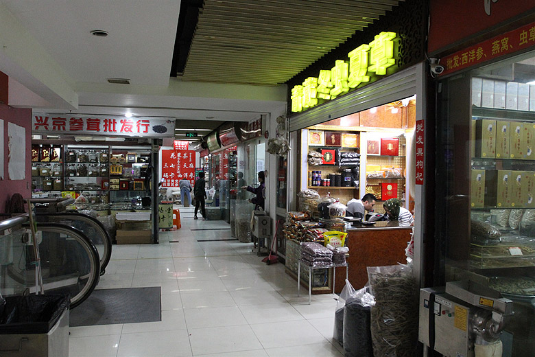 Шанхай, экскурсия Храм Нефритового Будды, Рынок Секс-игрушек (Shanghai, Sex Toys Market)