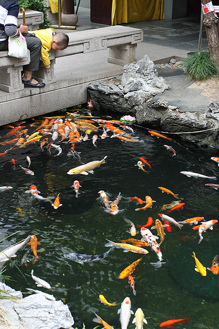 Шанхай, экскурсия Храм Нефритового Будды (Shanghai, Jade Buddha Temple)