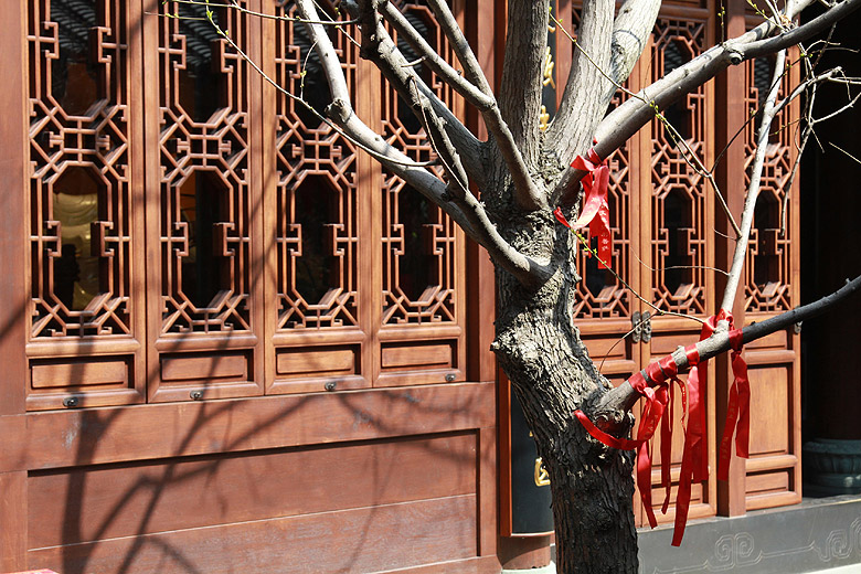 Шанхай, экскурсия Храм Нефритового Будды (Shanghai, Jade Buddha Temple)