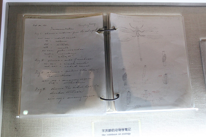 Шанхай, экскурсия Нормандия, Дом-музей Сун Цинлин (Shanghai, Normandie Area, Soong Ching Ling's Former Residence)