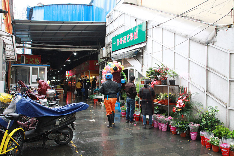 Шанхай, экскурсия Нормандия, Рынок улицы Уи (Shanghai, Normandie Area, Wuyi Road Wet Market)