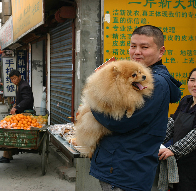 Фото. Торговая улица Fuqiang Street